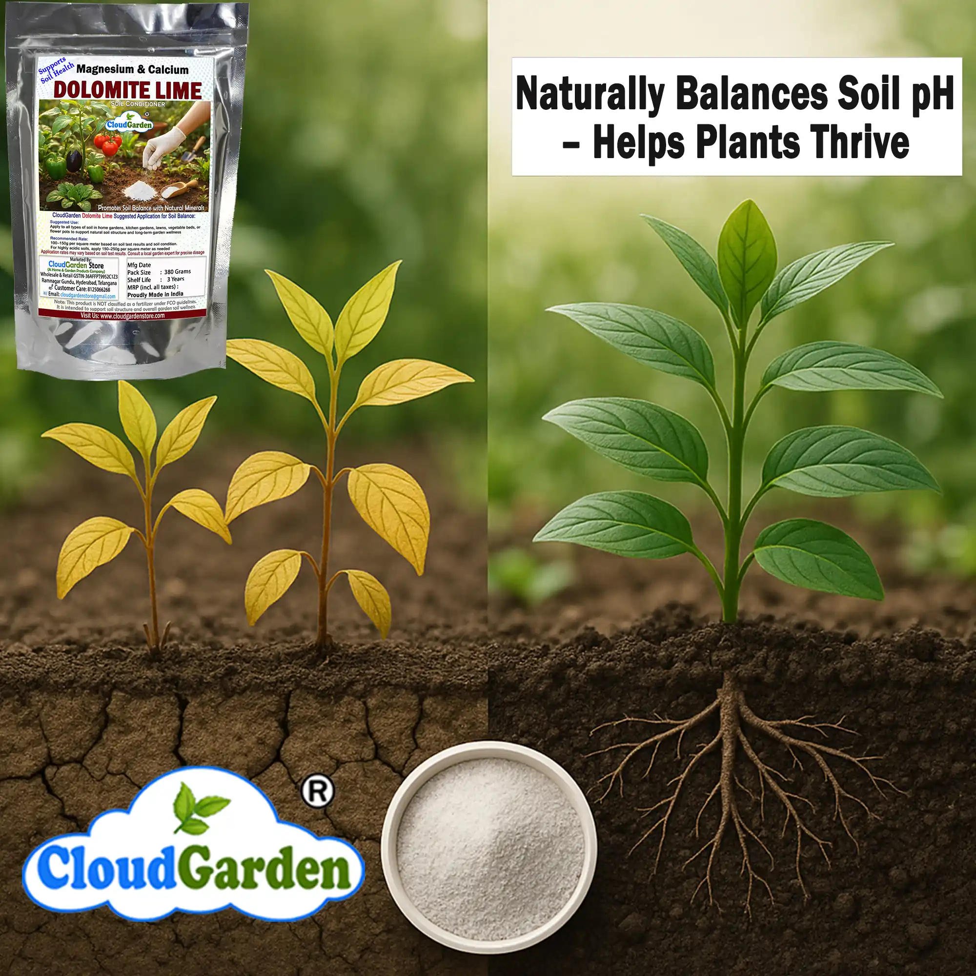 Visual showing soil improvement concept using dolomite powder 380g as a soil pH balancer for plants in garden soil