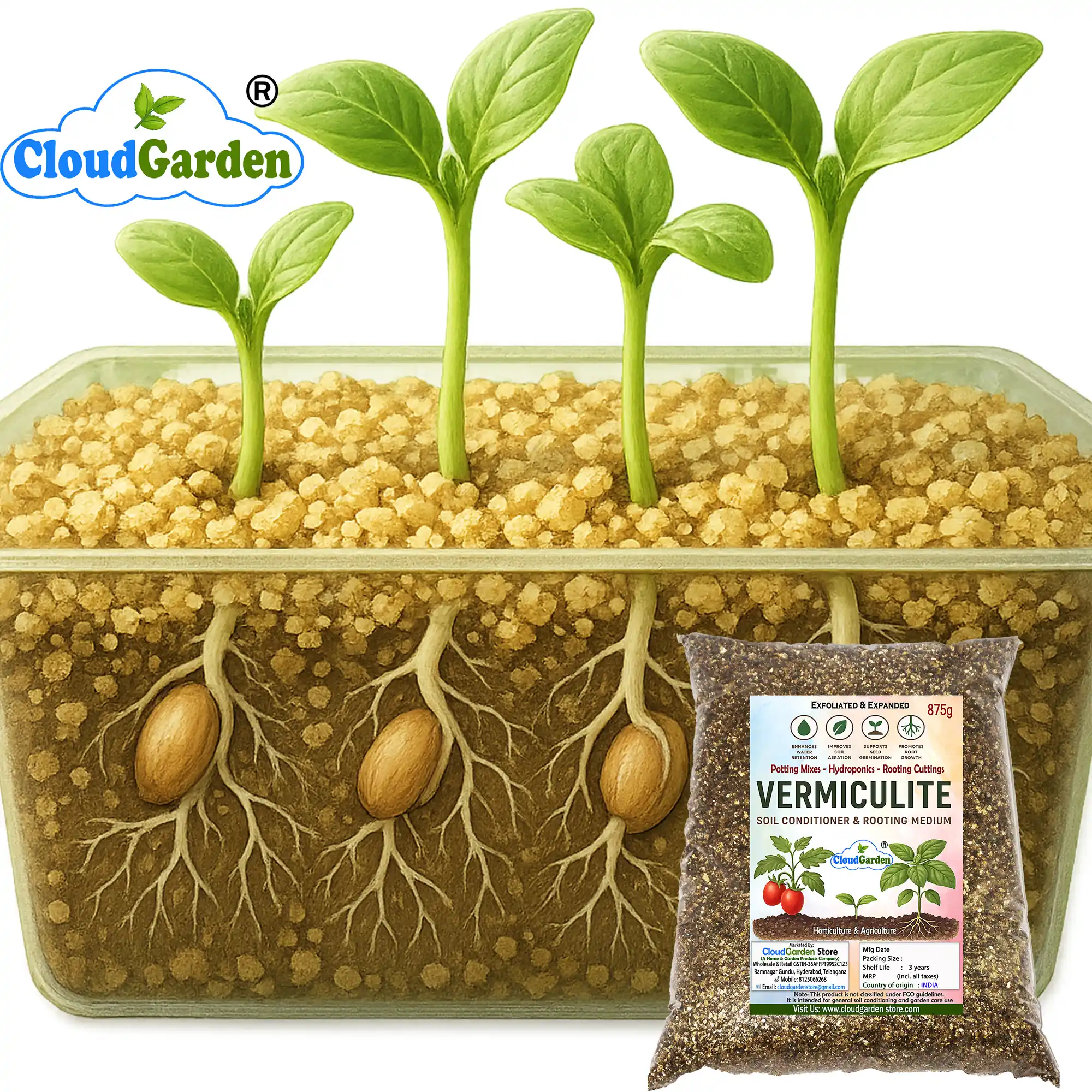 Seed starting using vermiculite for potting mix