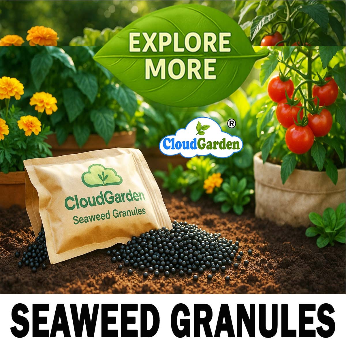CloudGarden seaweed granules for garden soil conditioning and plant care use