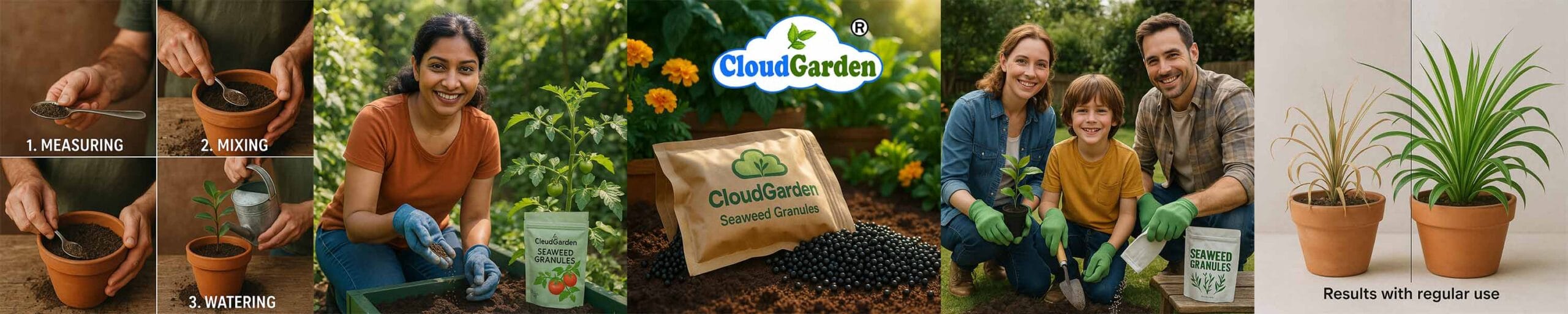 Mix CloudGarden Seaweed Granules with potting soil during planting or repotting

Image Caption